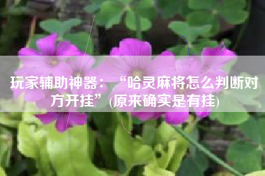 玩家辅助神器：“哈灵麻将怎么判断对方开挂”(原来确实是有挂)