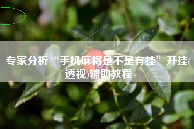 专家分析“手机麻将是不是有挂	”开挂(透视)辅助教程