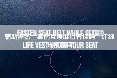 辅助神器“喜鹊互娱麻将有挂吗”详细分享装挂