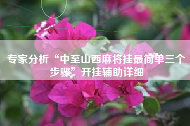 专家分析“中至山西麻将挂最简单三个步骤”开挂辅助详细