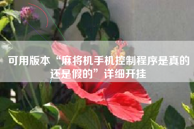 可用版本“麻将机手机控制程序是真的还是假的”详细开挂