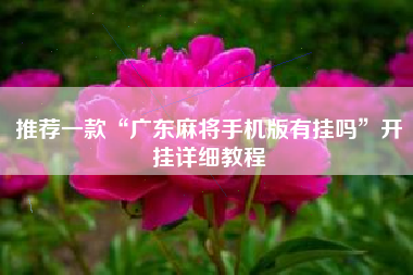 推荐一款“广东麻将手机版有挂吗	”开挂详细教程