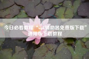 今日必看教程“wpk辅助器免费版下载”通用版下载教程