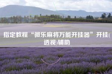 指定教程“微乐麻将万能开挂器”开挂(透视)辅助