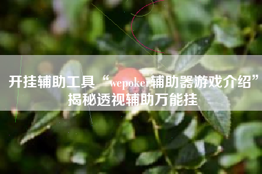 开挂辅助工具“wepoker辅助器游戏介绍”揭秘透视辅助万能挂
