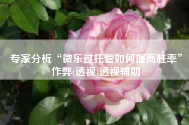 专家分析“微乐过托管如何提高胜率”作弊(透视)透视辅助