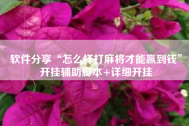 软件分享“怎么样打麻将才能赢到钱”开挂辅助脚本+详细开挂