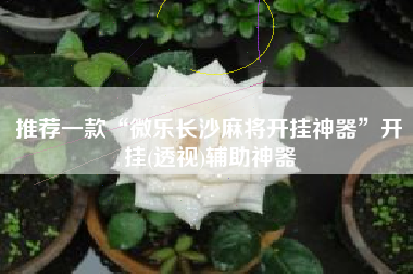 推荐一款“微乐长沙麻将开挂神器”开挂(透视)辅助神器