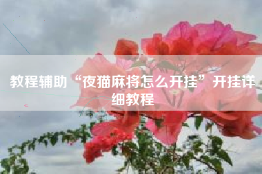 教程辅助“夜猫麻将怎么开挂”开挂详细教程