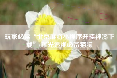 玩家必读“北京麻将小程序开挂神器下载”(曝光透视必备猫腻