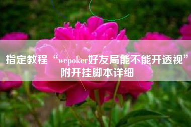指定教程“wepoker好友局能不能开透视	”附开挂脚本详细