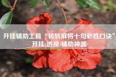 开挂辅助工具“转转麻将十句必胜口诀	”开挂(透视)辅助神器