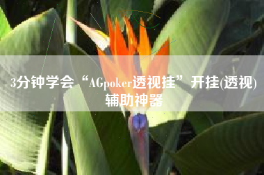 3分钟学会“AGpoker透视挂	”开挂(透视)辅助神器