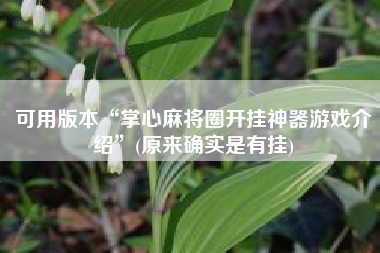 可用版本“掌心麻将圈开挂神器游戏介绍	”(原来确实是有挂)