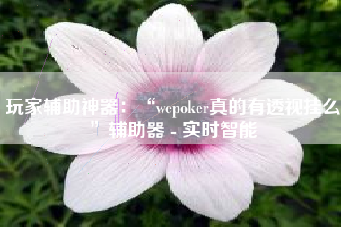 玩家辅助神器：“wepoker真的有透视挂么”辅助器 - 实时智能