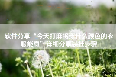 软件分享“今天打麻将穿什么颜色的衣服能赢	”详细分享装挂步骤