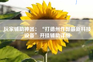 玩家辅助神器：“打德州作弊最新科技设备”开挂辅助详细