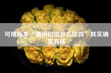 可用版本“德州钓组怎么挂饵	”其实确实有挂