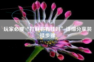 玩家必搜“打麻将有挂吗”详细分享装挂步骤