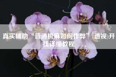 真实辅助“普通机麻如何作弊	”(透视)开挂详细教程