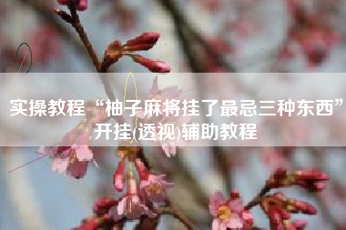 实操教程“柚子麻将挂了最忌三种东西”开挂(透视)辅助教程