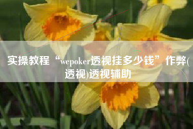 实操教程“wepoker透视挂多少钱”作弊(透视)透视辅助