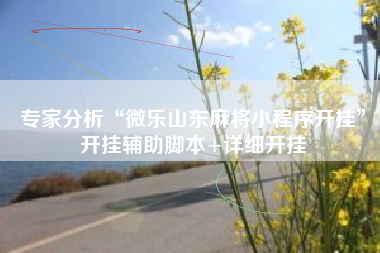 专家分析“微乐山东麻将小程序开挂”开挂辅助脚本+详细开挂