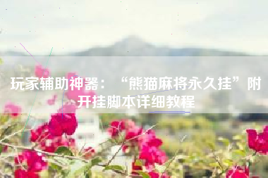 玩家辅助神器：“熊猫麻将永久挂”附开挂脚本详细教程