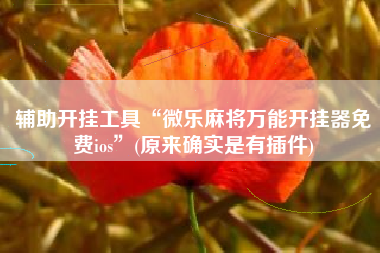 辅助开挂工具“微乐麻将万能开挂器免费ios”(原来确实是有插件)