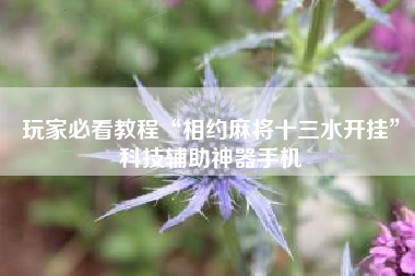 玩家必看教程“相约麻将十三水开挂”科技辅助神器手机