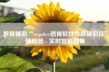 教程辅助“wepoker透视软件作弊辅助挂	”辅助器 - 实时智能回复