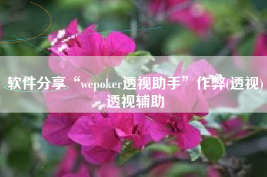 软件分享“wepoker透视助手	”作弊(透视)透视辅助