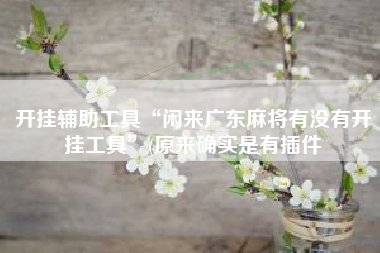 开挂辅助工具“闲来广东麻将有没有开挂工具	”(原来确实是有插件