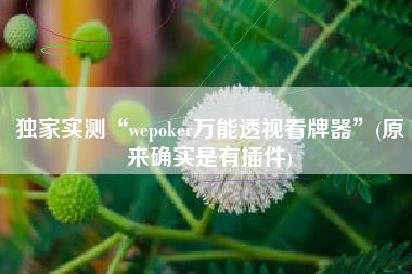 独家实测“wepoker万能透视看牌器”(原来确实是有插件)