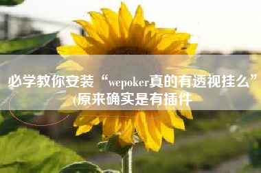 必学教你安装“wepoker真的有透视挂么”(原来确实是有插件