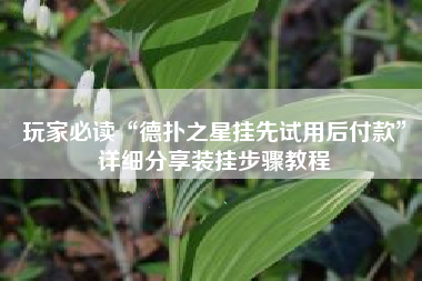 玩家必读“德扑之星挂先试用后付款”详细分享装挂步骤教程