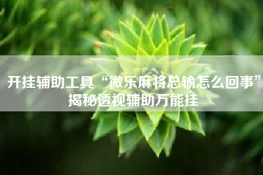 开挂辅助工具“微乐麻将总输怎么回事”揭秘透视辅助万能挂