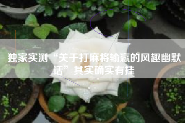 独家实测“关于打麻将输赢的风趣幽默话	”其实确实有挂