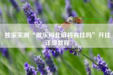 独家实测“微乐河北麻将有挂吗”开挂详细教程