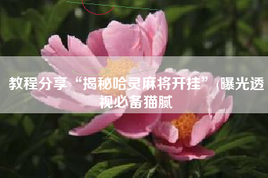 教程分享“揭秘哈灵麻将开挂”(曝光透视必备猫腻