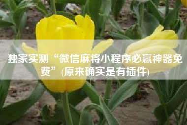 独家实测“微信麻将小程序必赢神器免费”(原来确实是有插件)