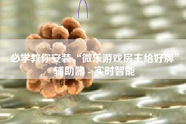必学教你安装“微乐游戏房主给好牌	”辅助器 - 实时智能