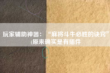 玩家辅助神器：“麻将斗牛必胜的诀窍”(原来确实是有插件