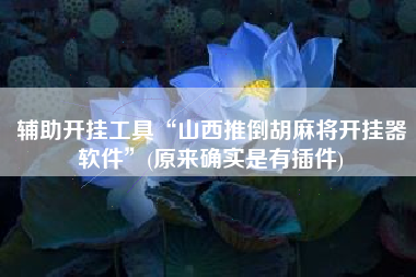 辅助开挂工具“山西推倒胡麻将开挂器软件	”(原来确实是有插件)