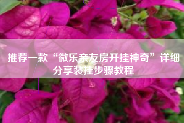 推荐一款“微乐亲友房开挂神奇”详细分享装挂步骤教程