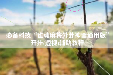 必备科技“雀魂麻将外卦神器通用版”开挂(透视)辅助教程