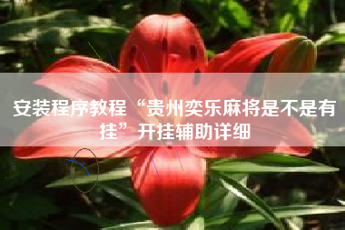 安装程序教程“贵州奕乐麻将是不是有挂”开挂辅助详细