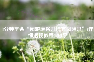 3分钟学会“闲游麻将开挂有风险吗”(详细透视教程)-知乎