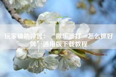 玩家辅助神器：“微乐三打一怎么抓好牌”通用版下载教程