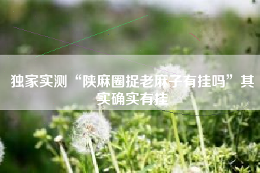 独家实测“陕麻圈捉老麻子有挂吗”其实确实有挂